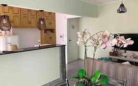 Apartamento Centro - Jardim Caiahu -